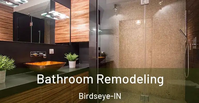 inner Bathroom imggen Bathroom Remodeling Birdseye-IN