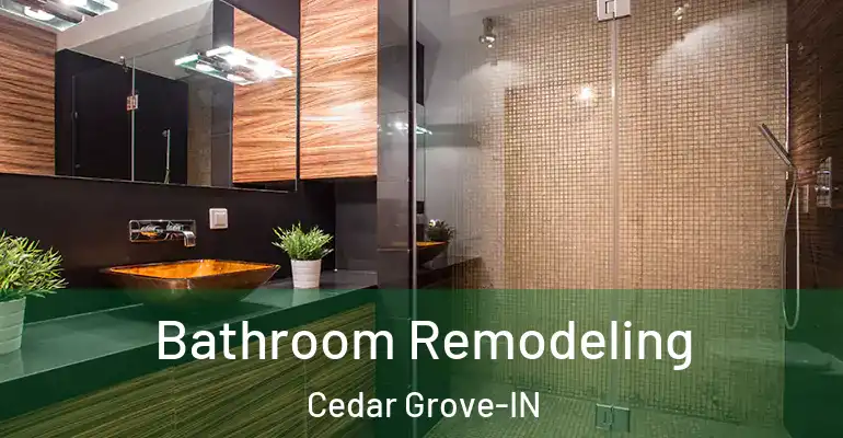 inner Bathroom imggen Bathroom Remodeling Cedar Grove-IN