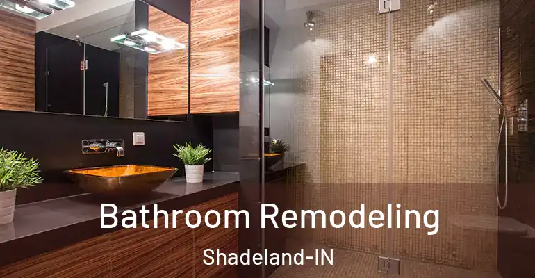 inner Bathroom imggen Bathroom Remodeling Shadeland-IN