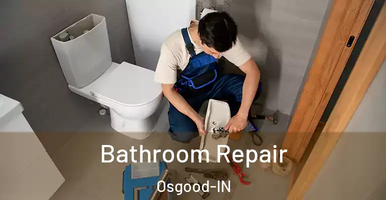 inner Bathroom imggen Bathroom Repair Osgood-IN