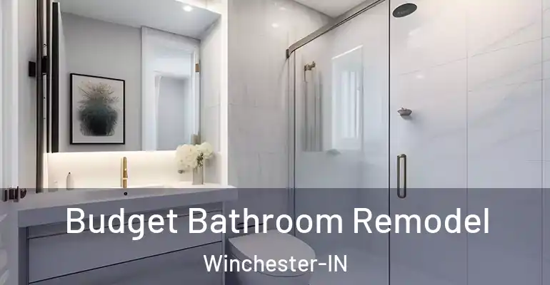 inner Bathroom imggen Budget Bathroom Remodel Winchester-IN
