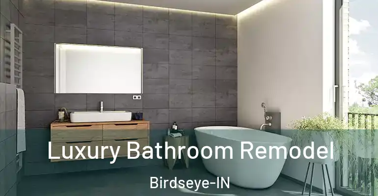 inner Bathroom imggen Luxury Bathroom Remodel Birdseye-IN