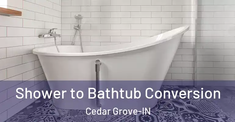 inner Bathroom imggen Shower to Bathtub Conversion Cedar Grove-IN
