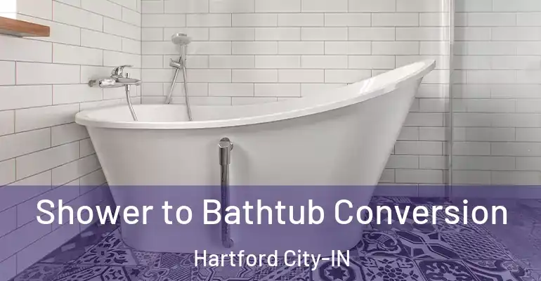 inner Bathroom imggen Shower to Bathtub Conversion Hartford City-IN