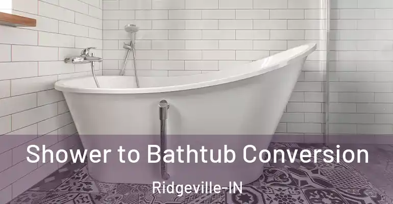 inner Bathroom imggen Shower to Bathtub Conversion Ridgeville-IN