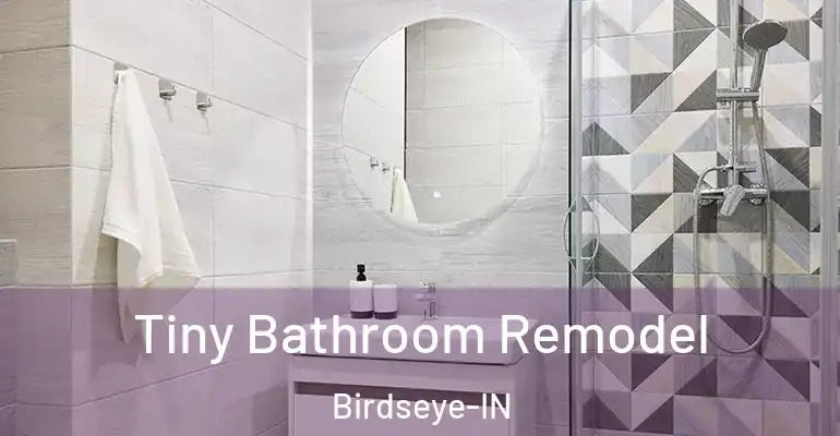 inner Bathroom imggen Tiny Bathroom Remodel Birdseye-IN