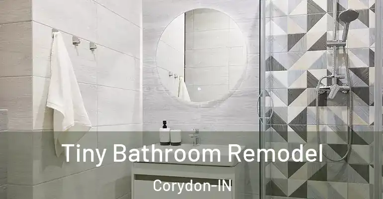 inner Bathroom imggen Tiny Bathroom Remodel Corydon-IN