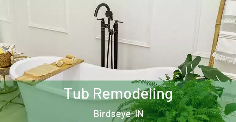 inner Bathroom imggen Tub Remodeling Birdseye-IN