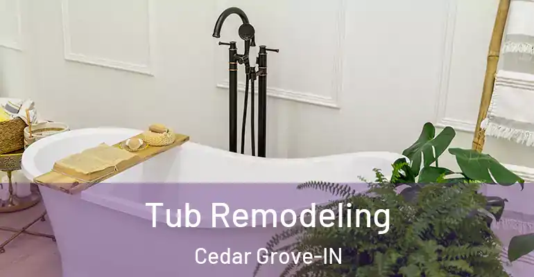 inner Bathroom imggen Tub Remodeling Cedar Grove-IN
