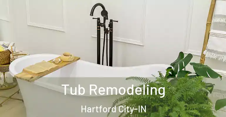 inner Bathroom imggen Tub Remodeling Hartford City-IN