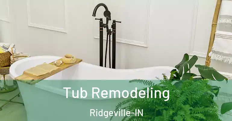 inner Bathroom imggen Tub Remodeling Ridgeville-IN