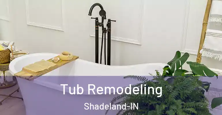 inner Bathroom imggen Tub Remodeling Shadeland-IN