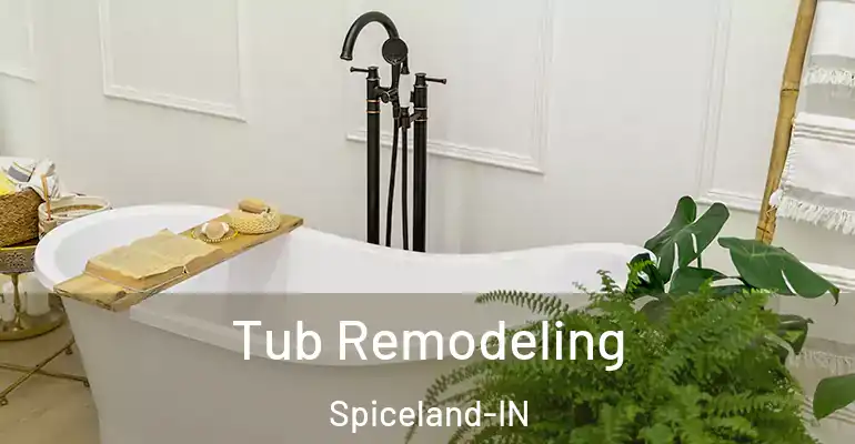 inner Bathroom imggen Tub Remodeling Spiceland-IN