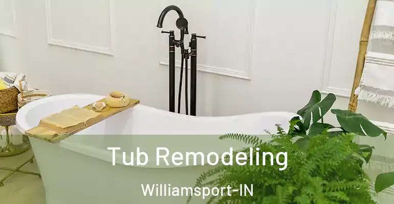 inner Bathroom imggen Tub Remodeling Williamsport-IN