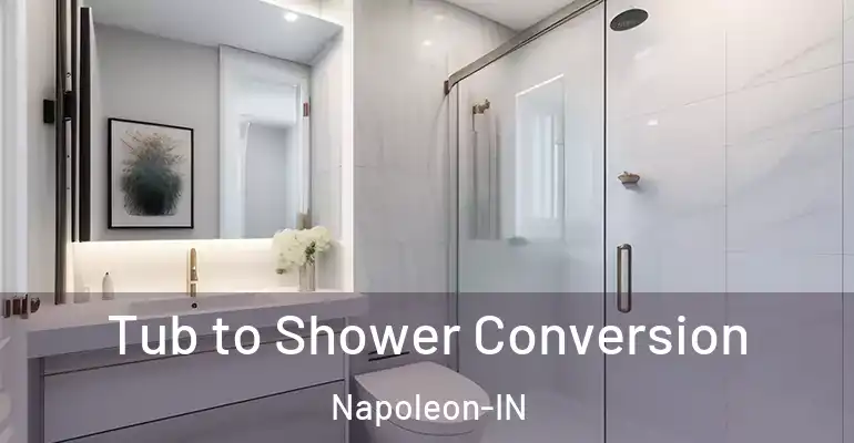 inner Bathroom imggen Tub to Shower Conversion Napoleon-IN