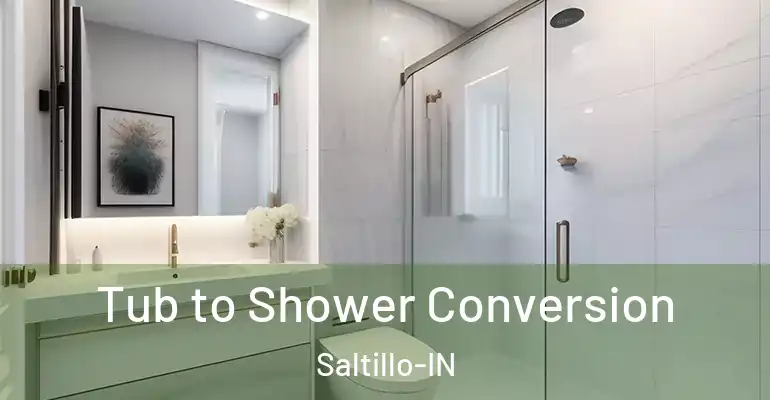 inner Bathroom imggen Tub to Shower Conversion Saltillo-IN
