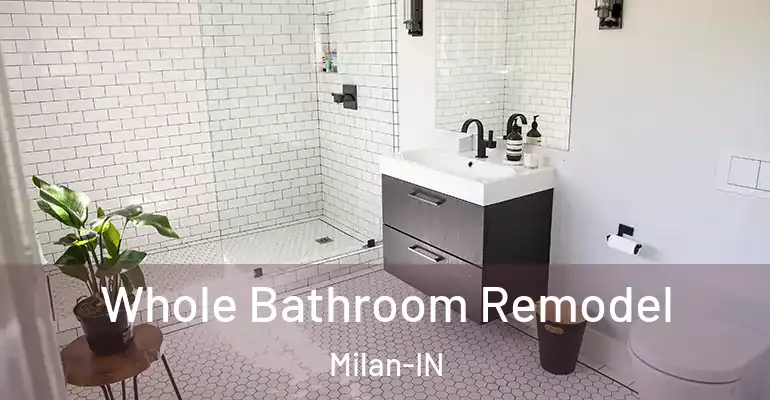inner Bathroom imggen Whole Bathroom Remodel Milan-IN